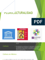 03Cultura yPLURICULTURALIDAD