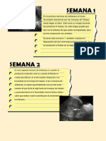 Seguimiento de Embarazo