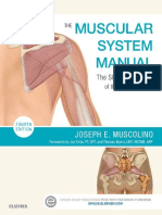 The Muscular System Manual The Skeletal Muscles of The Human Body by Joseph E. Muscolino