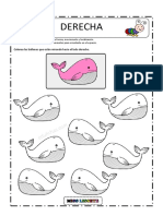 TRABAJO EN CLASE + TAREA - LATERALIDAD DERECHA