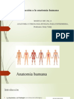 Anatomia Humana