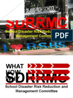 SDRRMG Roles and Duties