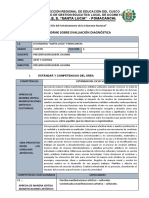 Informe de Evaluacion-Diagnostica Arte y Cultura