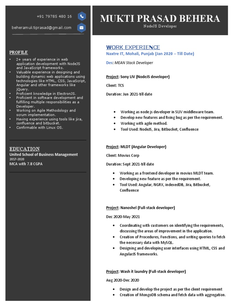 NodeJS Developer Profile Summary | PDF | Product Development ...