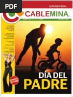 Download Revista Junio by Cable Mina SN56851007 doc pdf