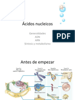 Ácidos nucleicos