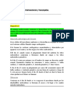 Histología de Enfermedades Cardiacas y Vasculares R