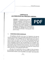 02 - Principios del Derecho Procesal Laboral