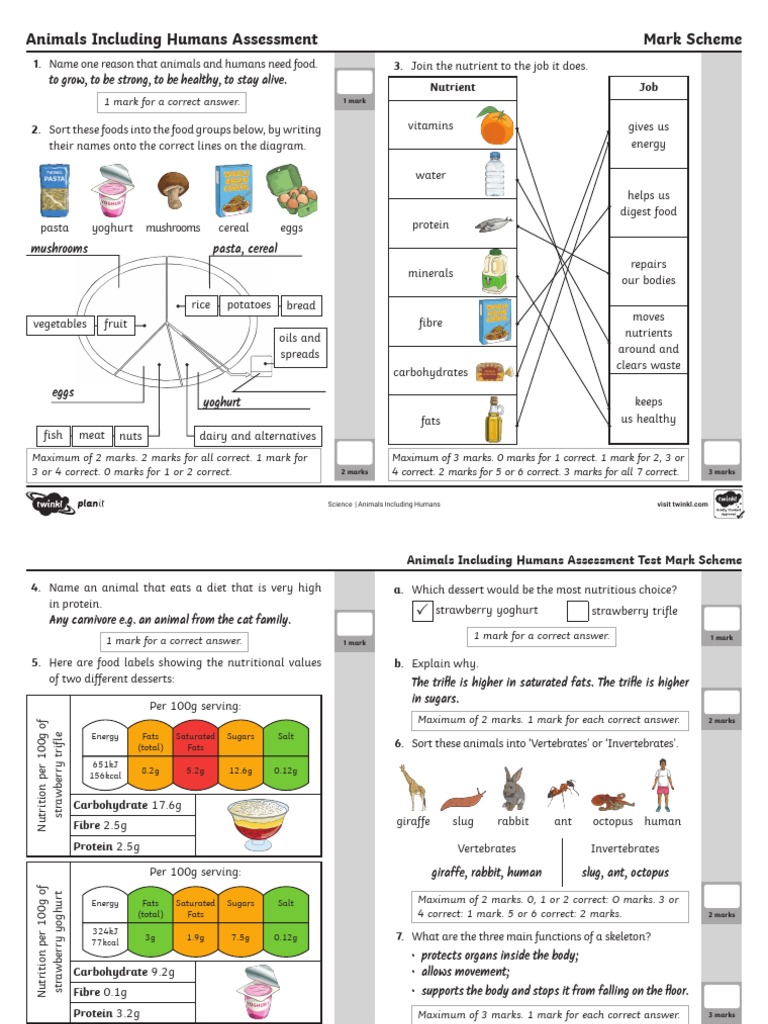 assessment-test-answers-pdf