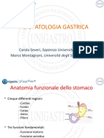 Fisiopatologia Gastrica UNIGASTRO 2019-22 DEF