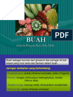 Morfologi Buah