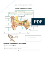 Urechea-Fisa de Evaluare