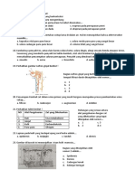 Soal PTS Ipa 8