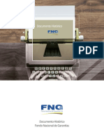 Documento Historico FNG