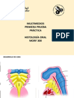 Multimedios MORF 300 1a Práctica