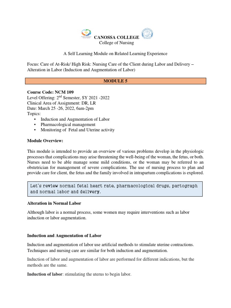 Nursing Care of Induction and Augmentation of Labor | PDF | Childbirth ...