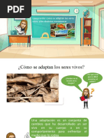 Presentación Adaptaciones, Trabajo Practico.