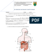 Evaluación de Ciencias Naturales Cuarto Grado