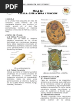 BIO 02 - Célula Estructura y Función