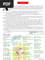 Revista Cílios. Parte II. p. 11-20