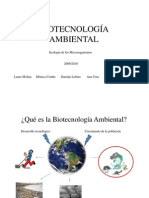 SEMINARIO BiotecnologIa Ambienta CURSOl 09 10