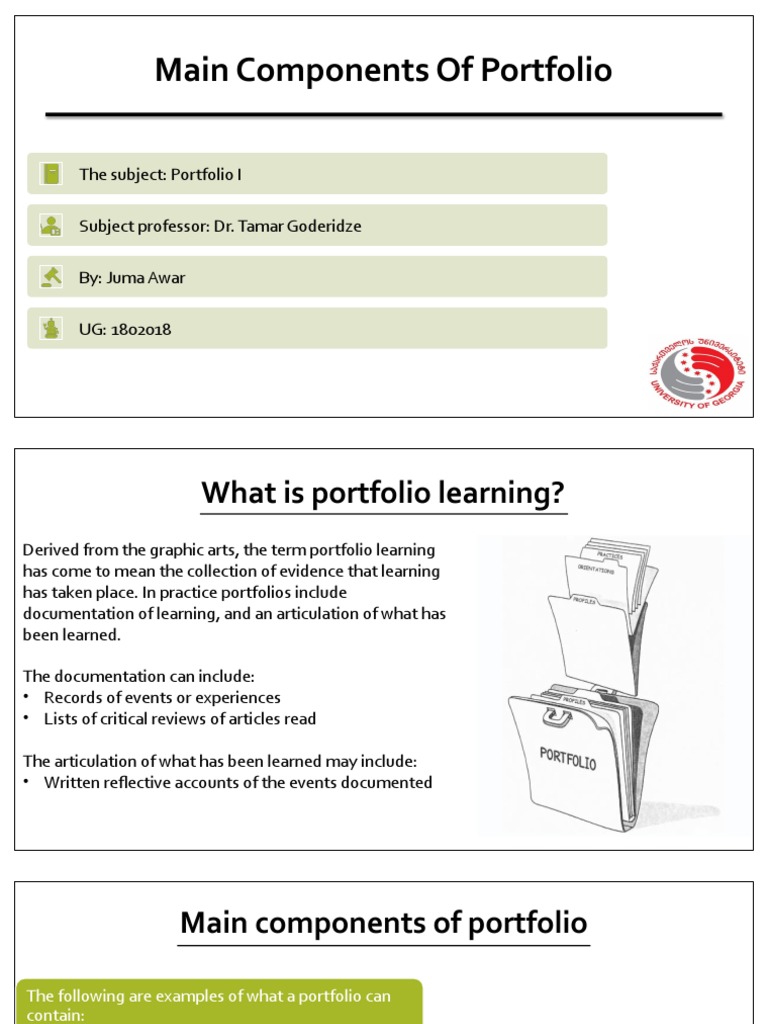 Main Components of Portfolio PDF