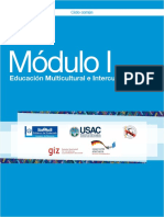 Mu00F3dulo I Educaciu00F3n Multicultural e Intercultural (1) (1)