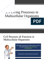 2.3 Living Processes in Multicellular Organisms