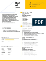 Curriculum Vitae Cecilia Rojas