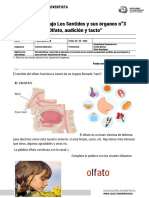 Guía Ciencias 1° Básico "Los Sentidos" Olfato, Audición y Tacto