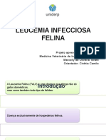 Leucemia Infecciosa Felina Marcelly Toratti