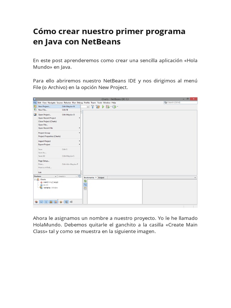Programar en Java Con NetBeans | PDF
