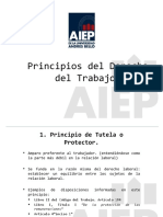 Principios Del Derecho Laboral