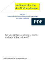 1 Urine Sediments For The Diagnosis of Kidney Disease Prof Adel