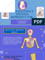 Sistema Oseo y Sistema Reproductor