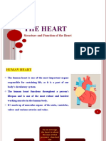 Structure and Function of The Heart