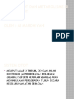 aadf.document