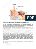 El Oído - 5º Pri