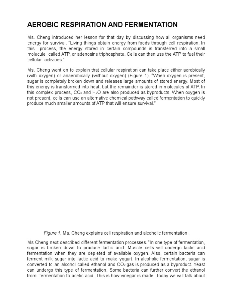 Aerobic Respiration and Fermentation - 1 | PDF