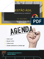 Gestão Ágil: Sobrevivência ou modismo