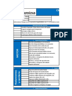 Pre PM Excavadoras