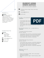 Nueva Plantilla Curriculum Vitae Gris Foto Lado