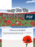 nz-t-93-why-do-we-wear-poppies-powerpoint-nz-level-1