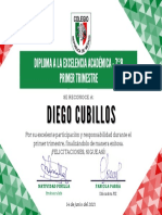 Diego Cubillos