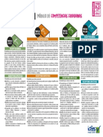 Niveles de Desempeno Competencias Ciudadanas Saber Pro 2021