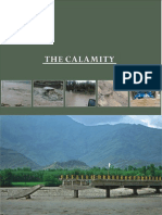 5b-The Calamity Images