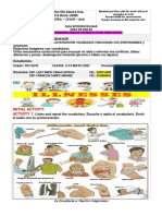 2 Guia Octavo Idioma Extranjero y Etica Para a Paz