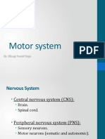 Motor System: By: Elnagi Yousif Hago