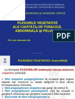 4 - Plexurile Vegetative Ale Cavităţilor Trunchiului - 2021