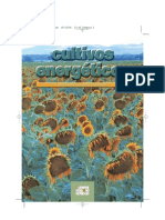 Cultivosenergeticos 090722192204 Phpapp02